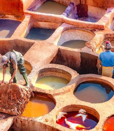 Leather dying in a traditional tannery in the city of Fez, Morocco