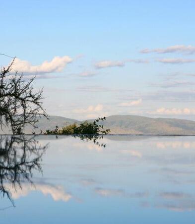 Tree and sky reflecting in flat waters of lake