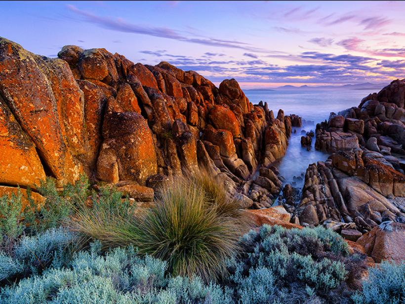 Take a dip in the clear blue waters of Tasmania's Beerbarrel Beach