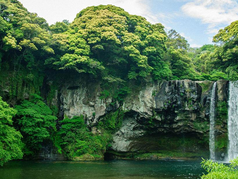 Venture to Jeju Island, housing lush forests, tall mountains, and endless waterfalls