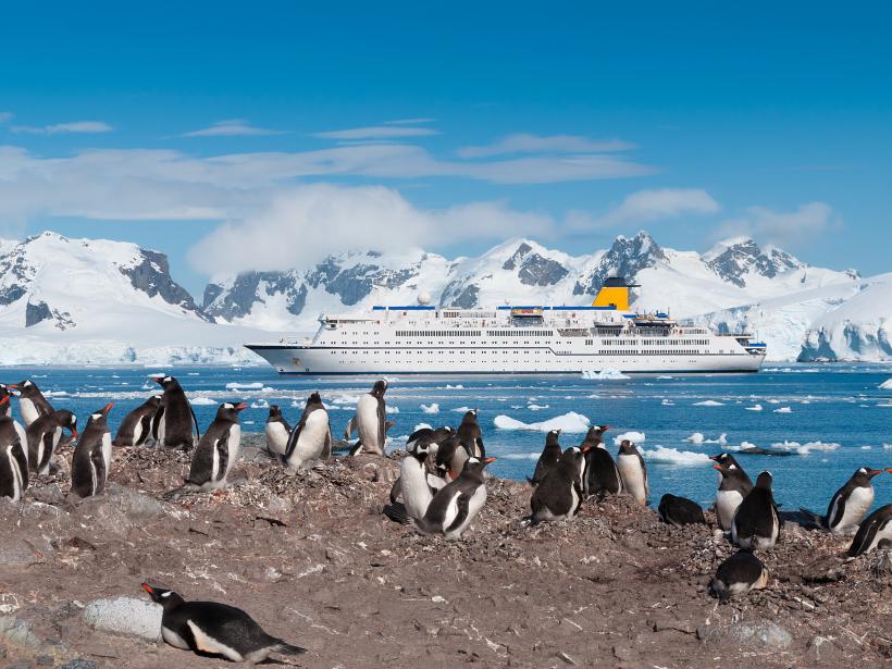 Cruising provides the most convenient and comfortable option for visiting the White Continent