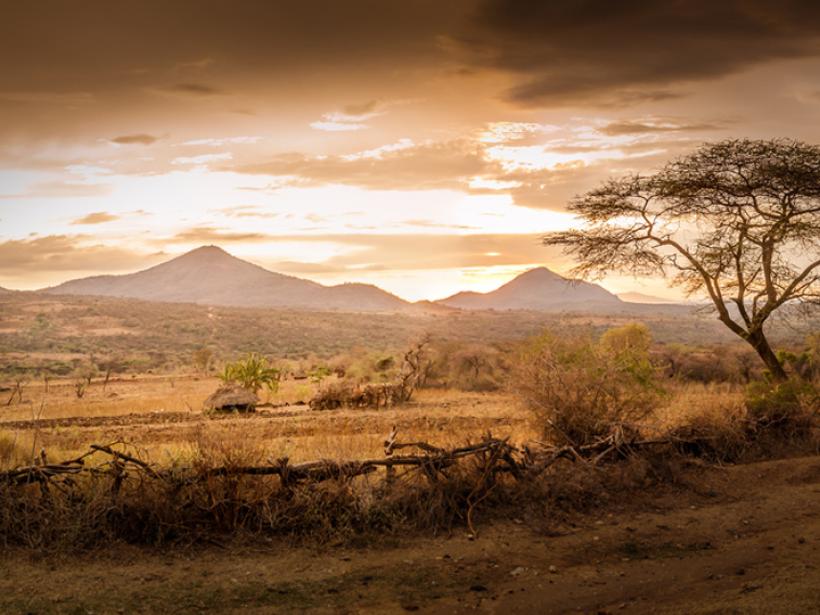 Territory of the Bana tribe is a popular inclusion on many Ethiopia tours.