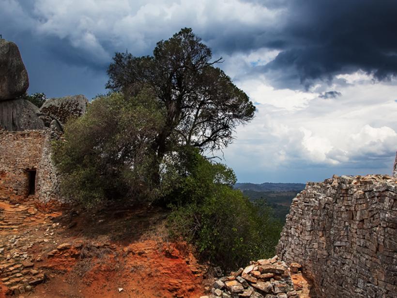 The large Baobab Tree is always a great photo opportunity while on your Zimbabwe safari.