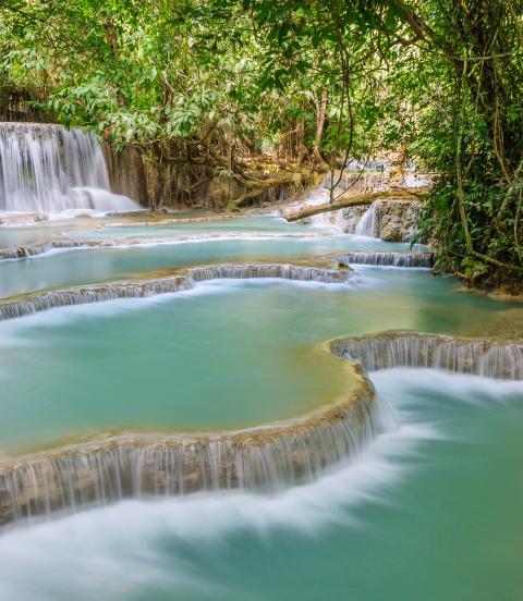 The Kuang Si Falls begin in shallow pools atop a steep hillside. The water flows in to a turquoise blue pool