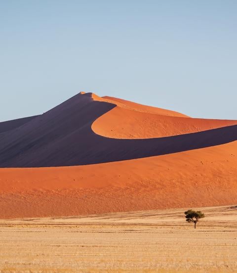 Warm late afternoon light close to sunset shining over the majestic Namibian Desert Sand Dunes