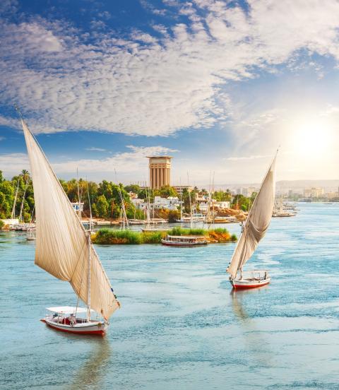 View of the Nile, feluccas and the palms, Aswan City, Egypt.