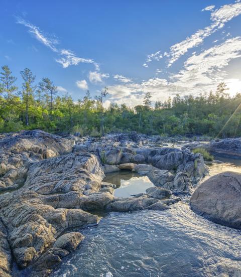 Beautiful river on pools of cascading water with pine trees in the background