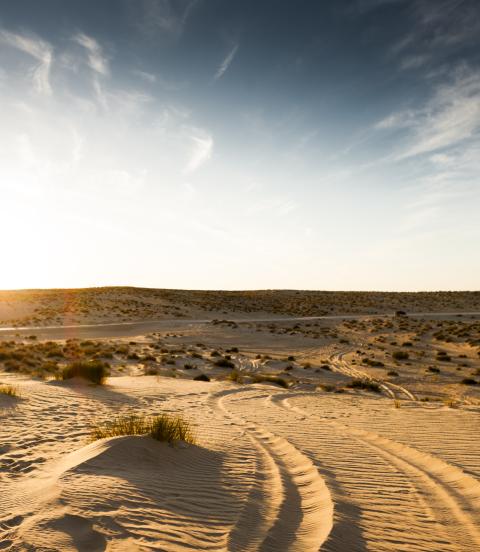 Sunset in Sahara desert near Douz in Tunisia