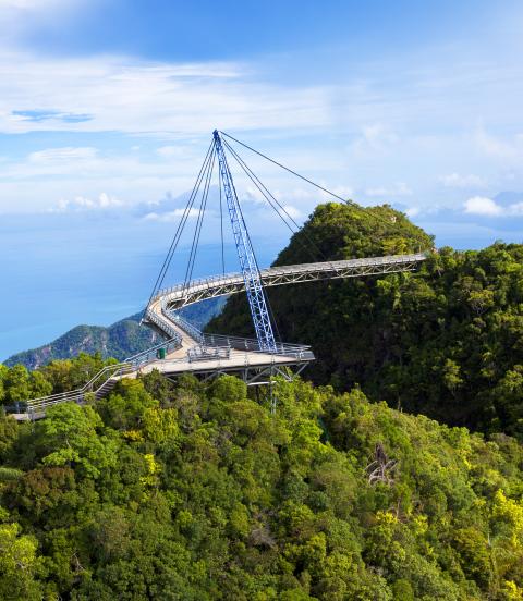 Amazing cable bridge over the tropical rainforest island landscape