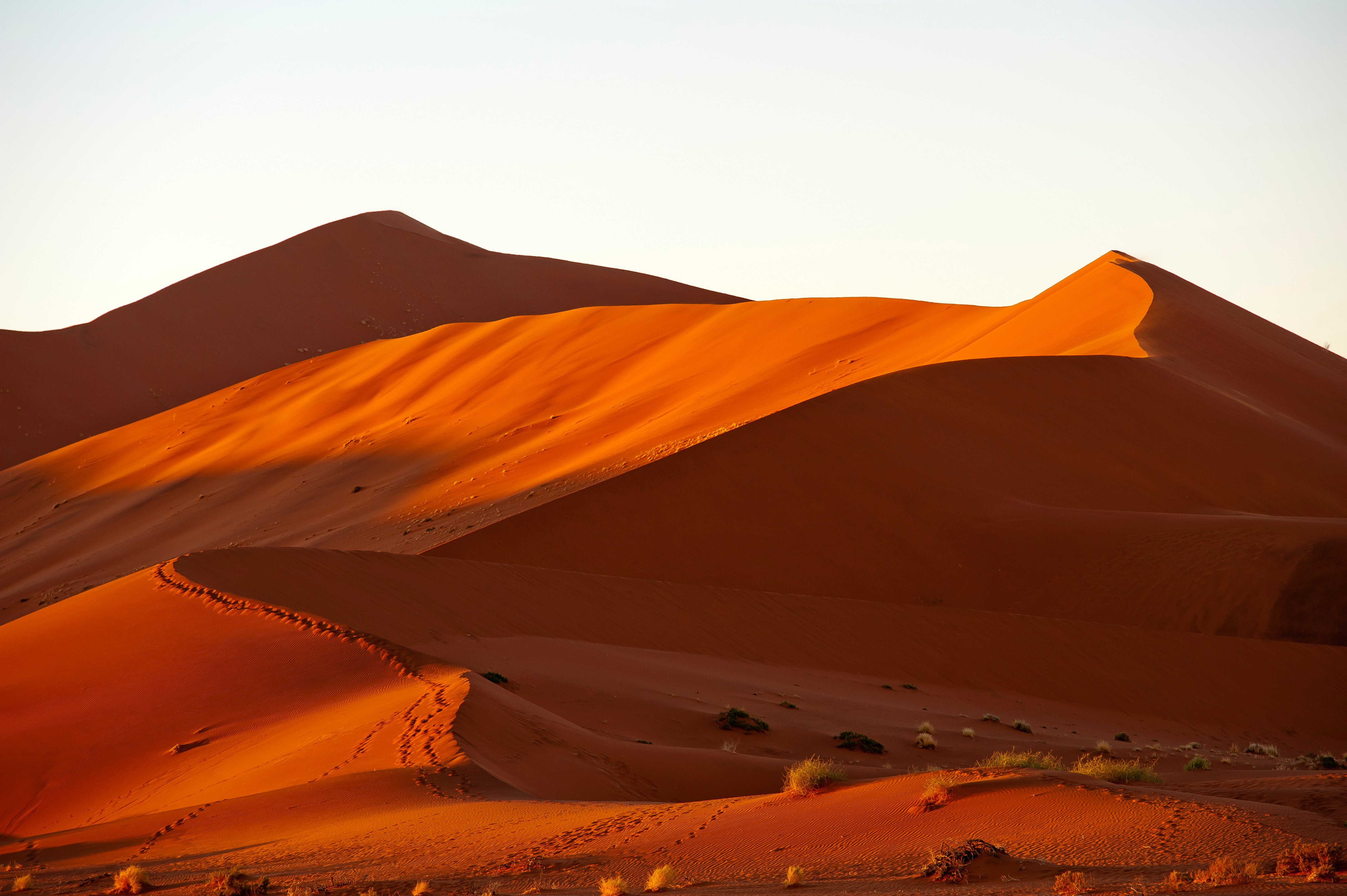 Big Daddy dune early in the morning