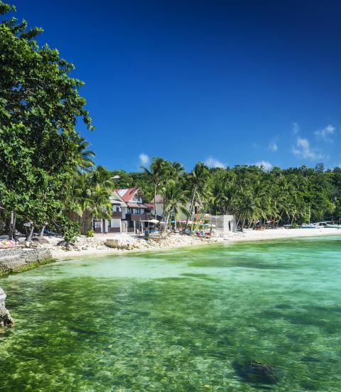 Beach in tropical paradise with stunning emerald waters