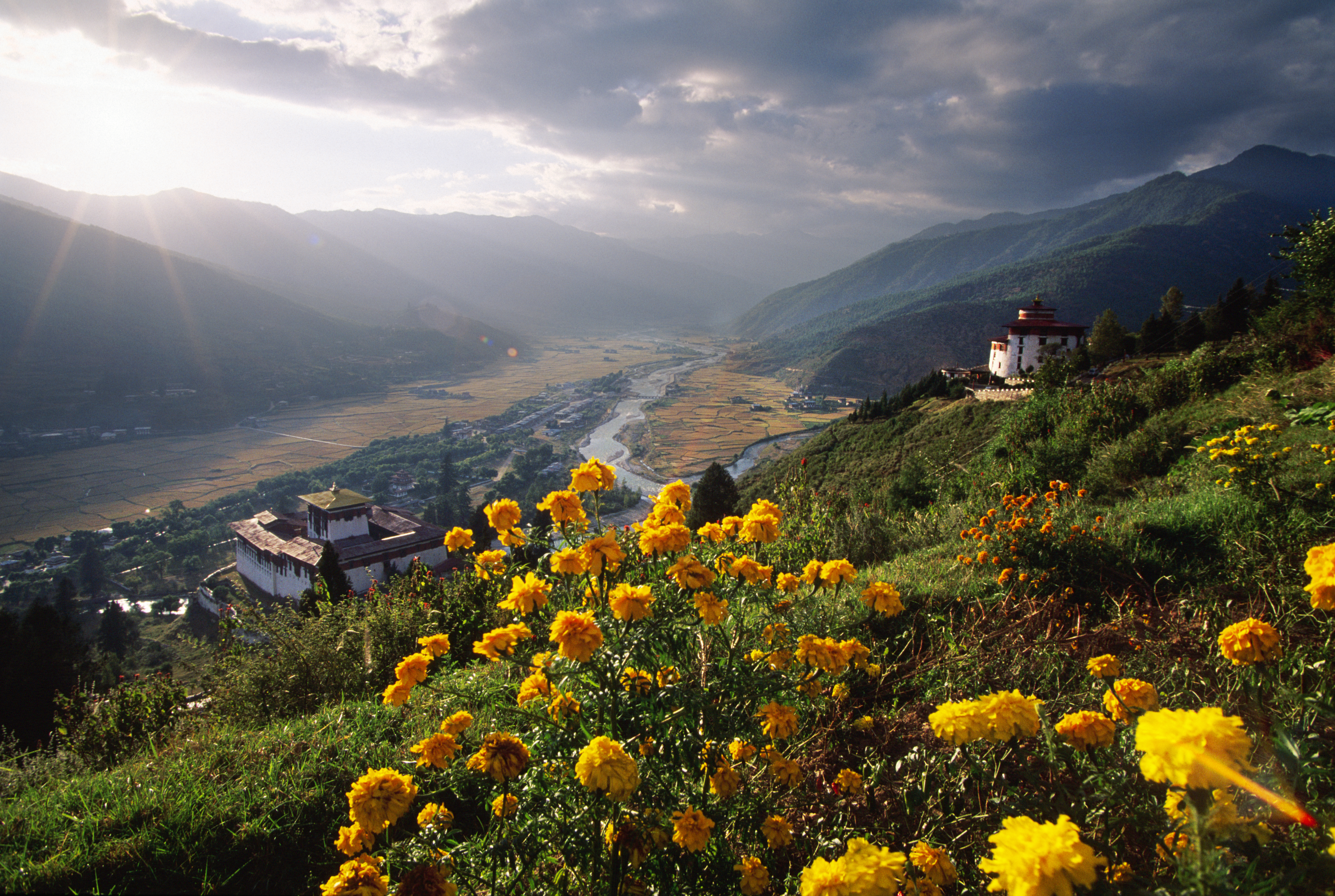 Dark clouds and yellow flowers in Paro Valley along the banks of the Paro Chhu River