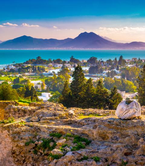 View from hill Byrsa with ancient remains of Carthage and landscape.