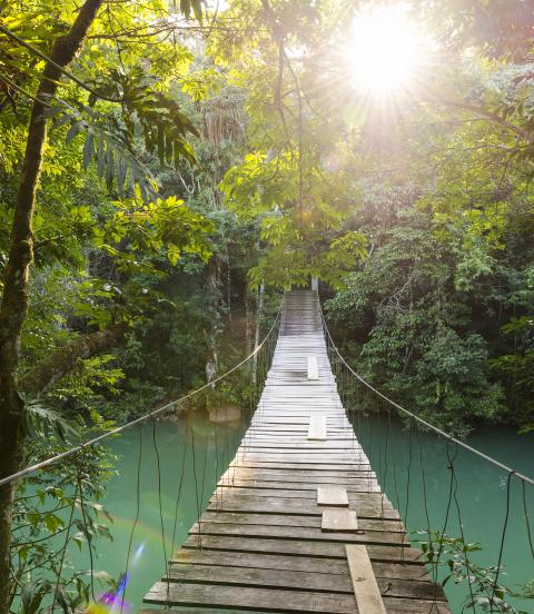 Tranquil footbridge crossing water at the 105-acre Río Blanco National Park, just west of Santa Elena village.