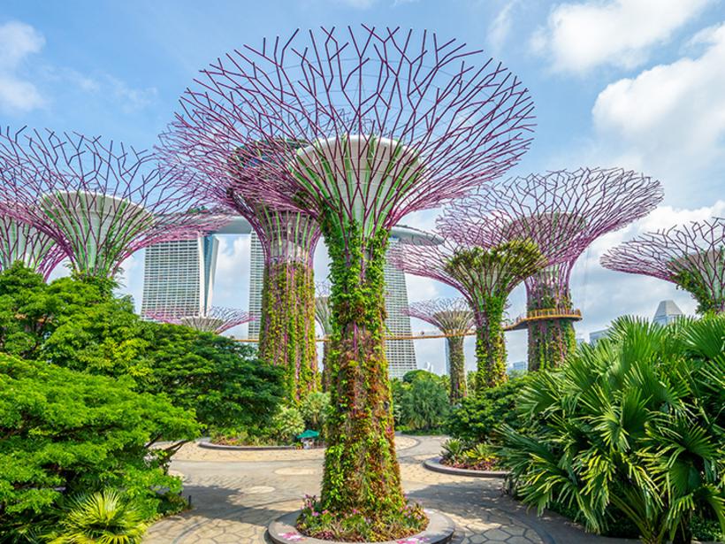 Commune with nature in the Gardens by the Bay, a unique display of nature at its finest