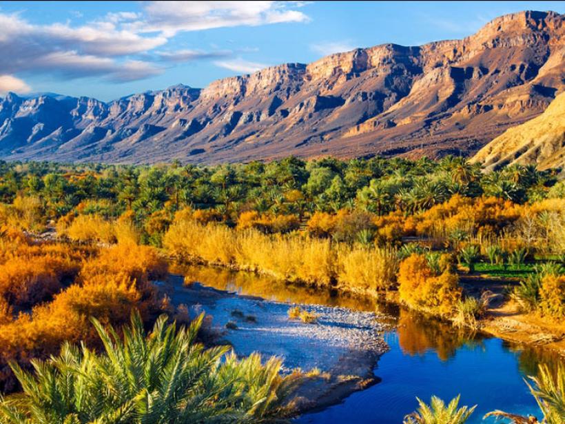 Admire the lush oasis landscape in the Moroccan desert