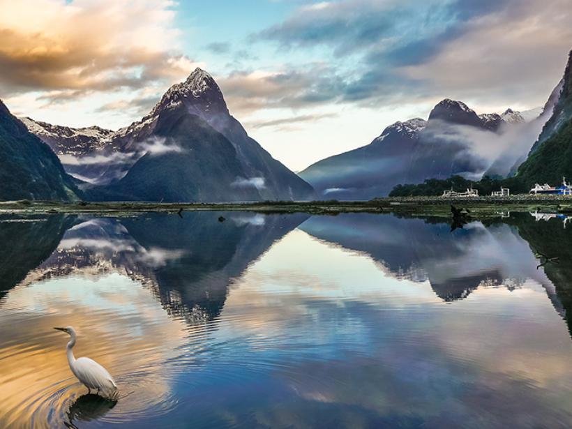 Float through Milford Sound, a deep fjord known for its surrounding mountains, waterfalls, and wildlife