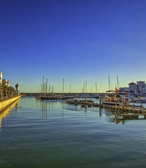 marina with boats and old buildings along the sea