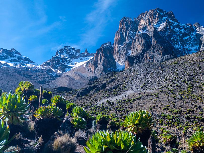 Hike up Mt Kenya, the second highest mountain in Africa