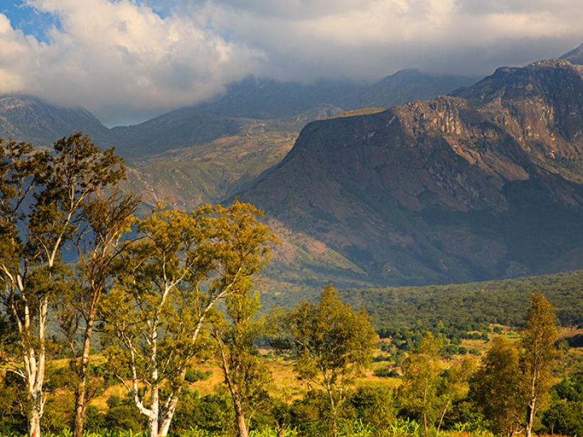 Hike up Mulanje Massif, a massive mountain range with over 60 peaks