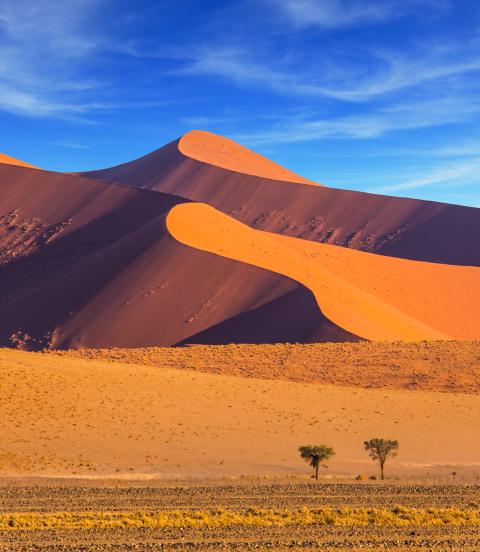 The dunes of Namib-Naukluft at sunset.