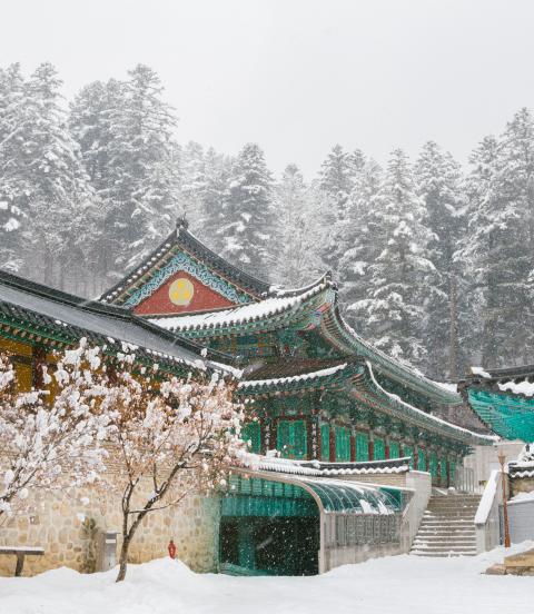 Beautiful winter landscape with snow covered trees and asian temple Odaesan Woljeongsa in Pyeongchang, Korea