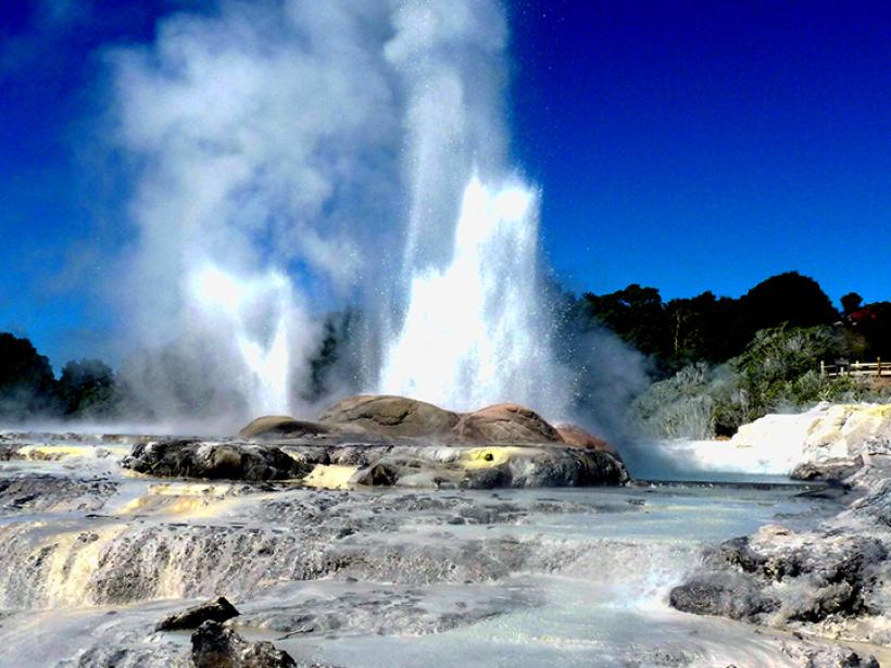 Get cameras ready to capture as the Pohutu Geyser in Rotorua puts on a show