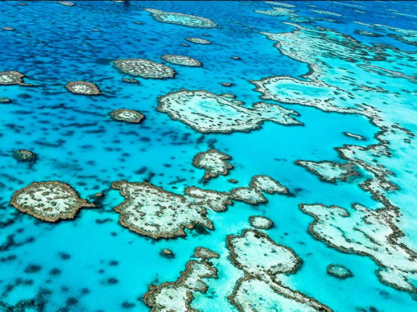 The Great Barrier Reef is the largest living thing on Earth and is a must visit on any Australia vacation.